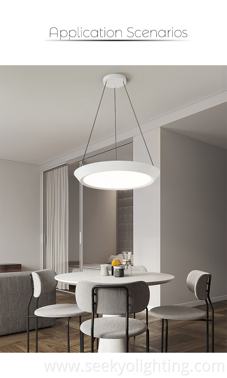 Ceiling Pendant Light